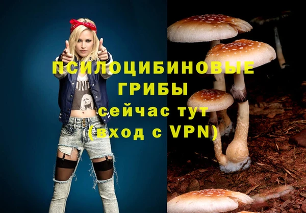 прущие крисы Вязьма