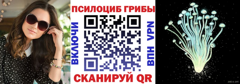 Галлюциногенные грибы Psilocybe  shop клад  Игарка 